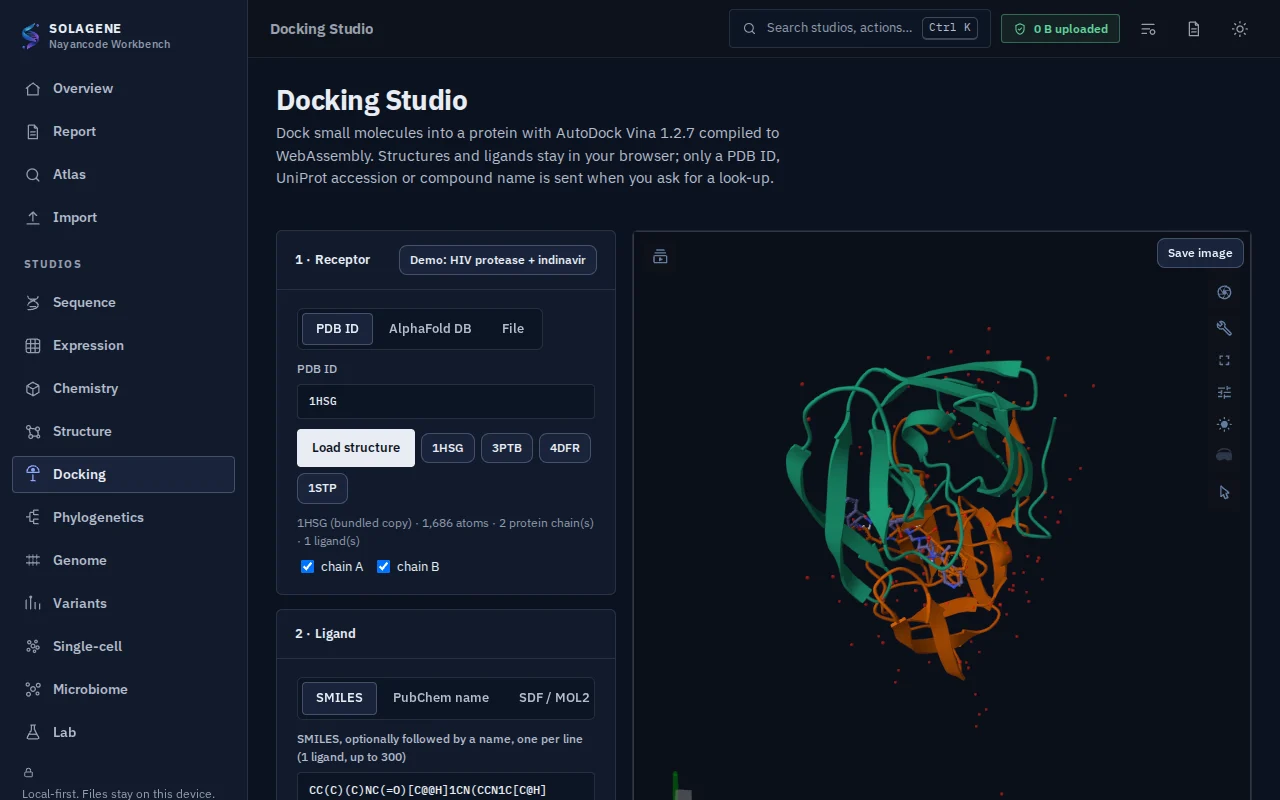 Screenshot of Nayancode Docking Studio